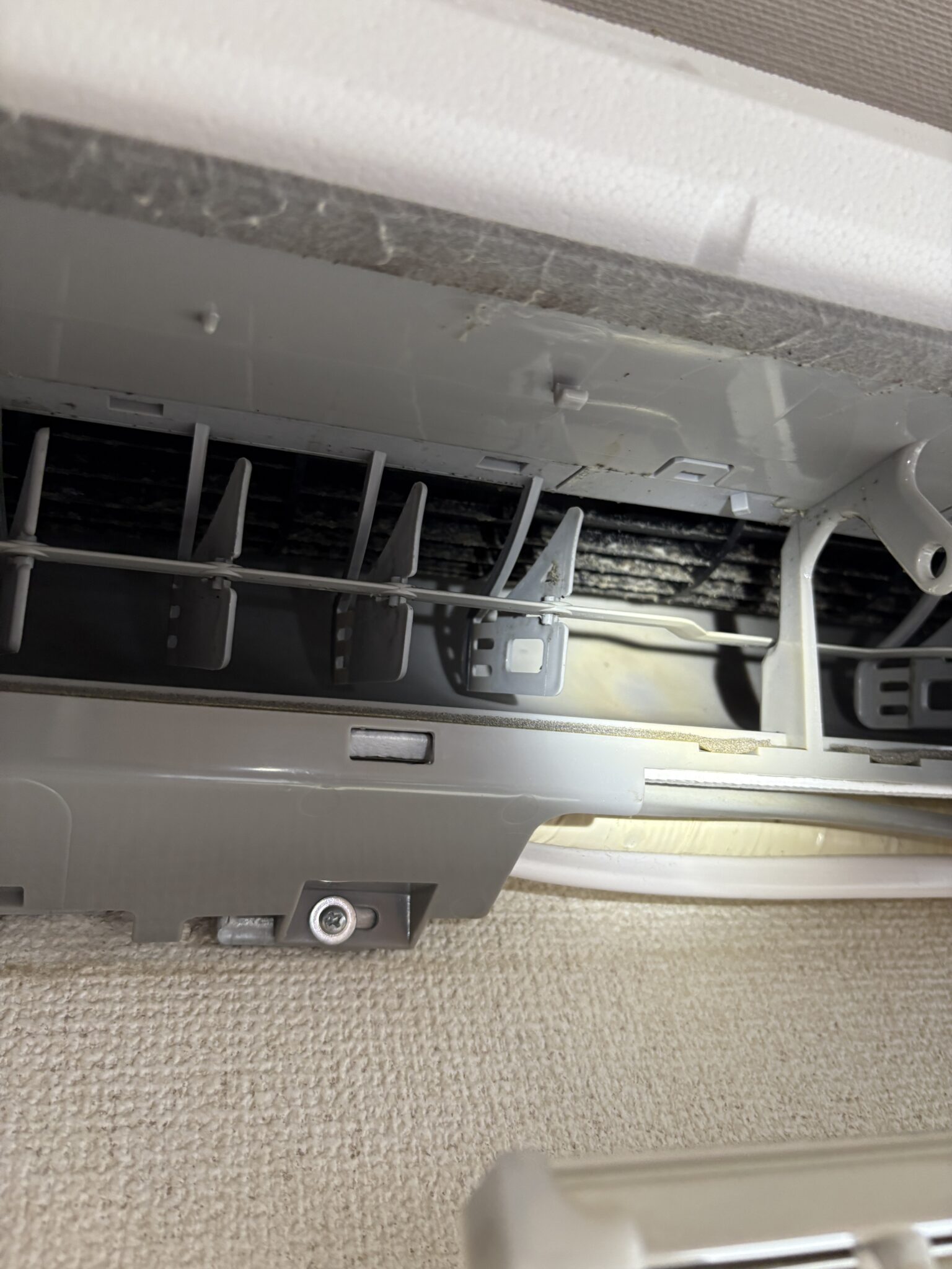 【岡崎市】半年でこの汚れ⁉ エアコンクリーニングの本質と“業者選び”の大切さ|Clean Loop – clean Loop